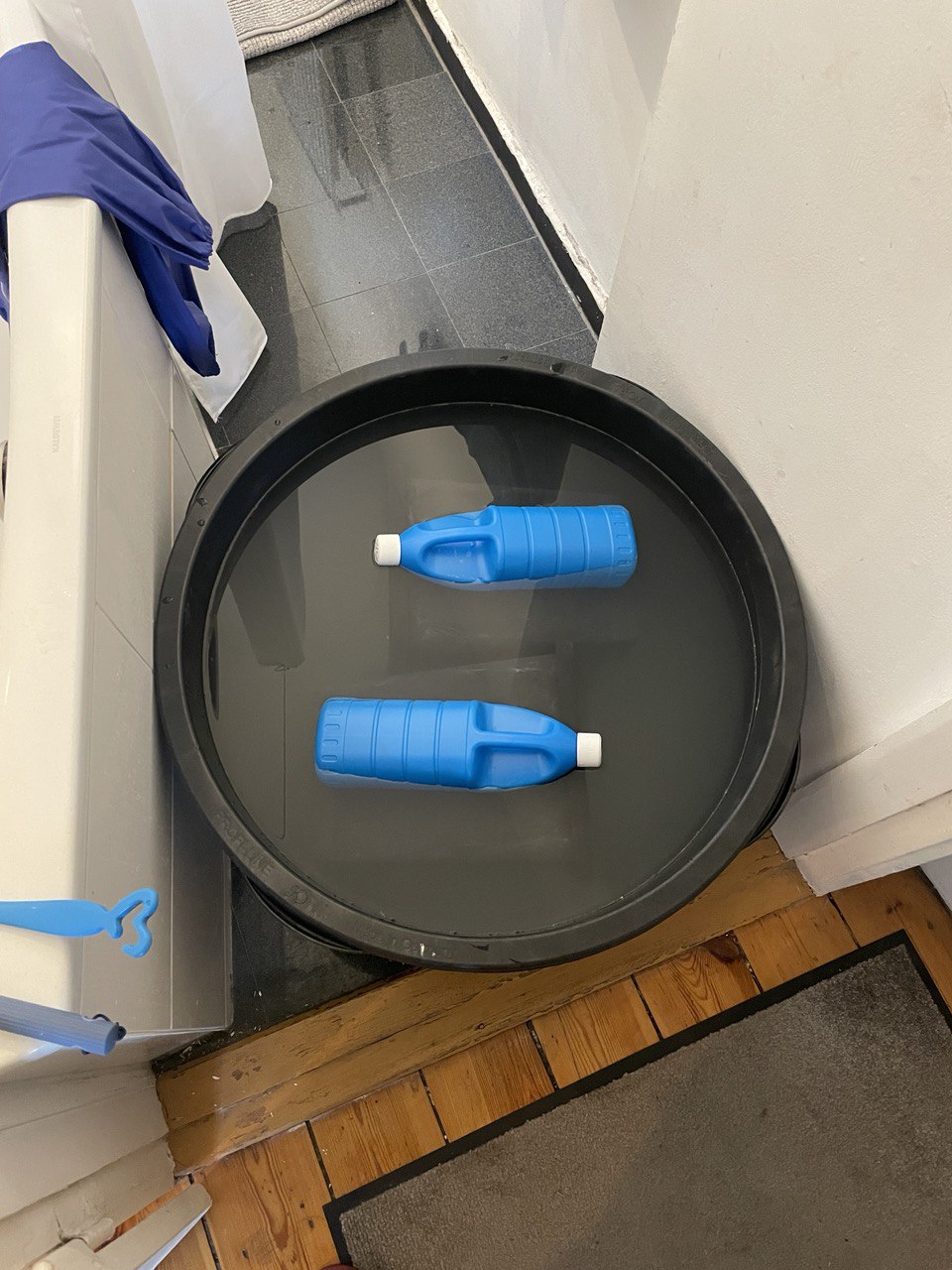 photo_2025-05-06 11.07.11.jpeg